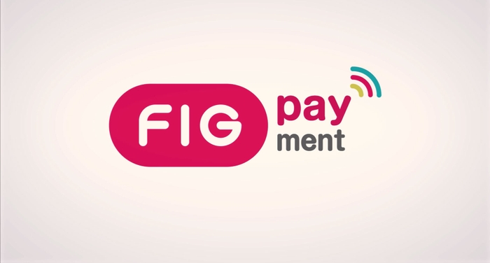 FIG Payment篇 4