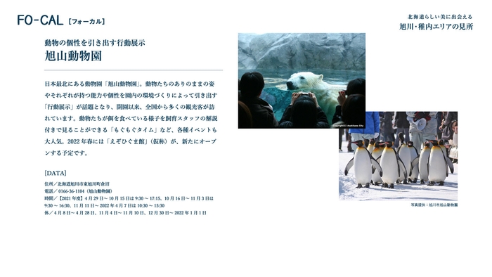 「旅色FO-CAL」北海道特集 旭山動物園