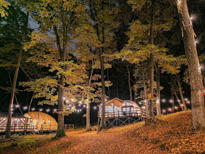 写真(2):施設全景(夜)