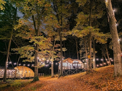 写真(2):施設全景(夜)