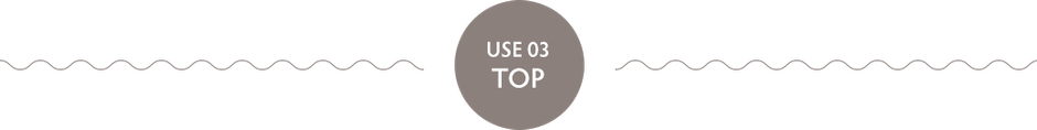 USE 03 TOP