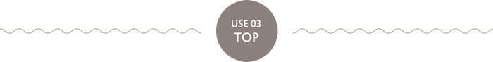 USE 03 TOP