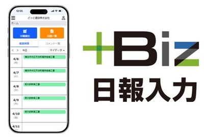 +Biz日報入力