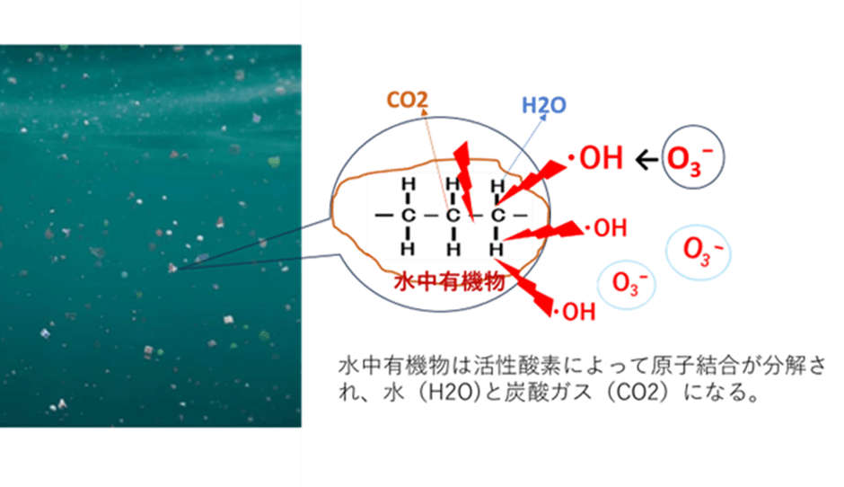 水中有機物分解