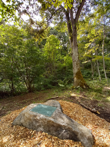 アファンの森のマザーツリーとニコルの碑メモリアルストーン