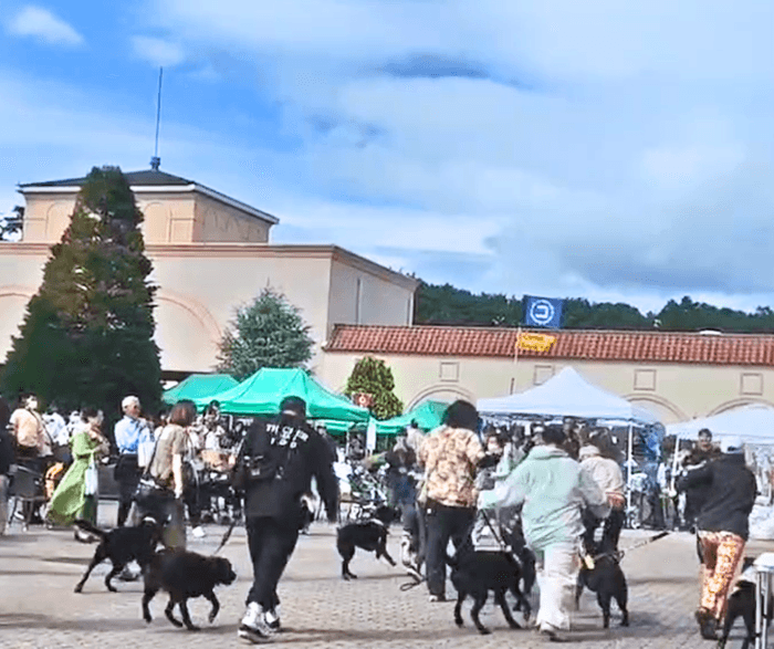 Happy!ワンDaysフェスタ