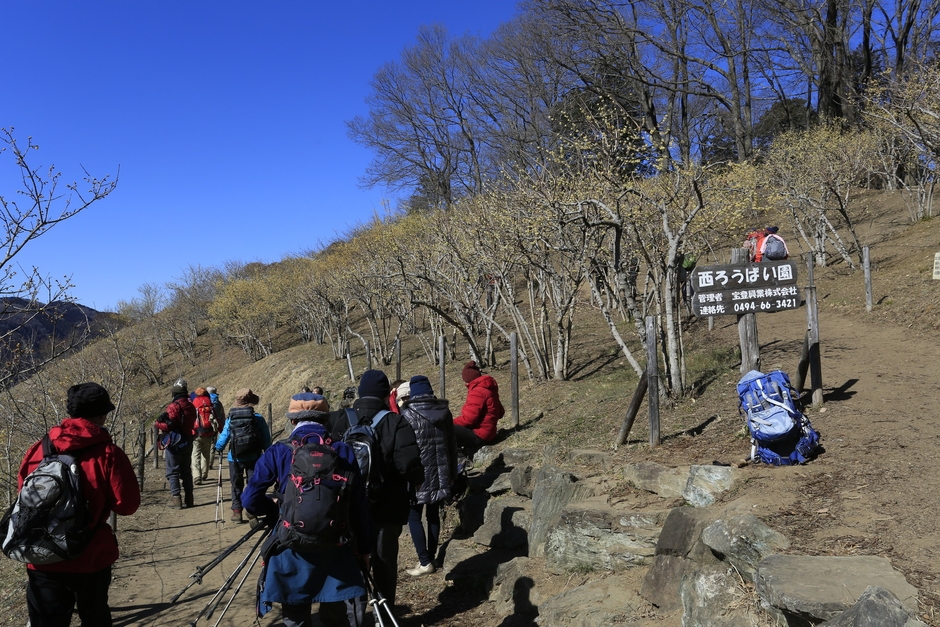 ハイキングイメージ