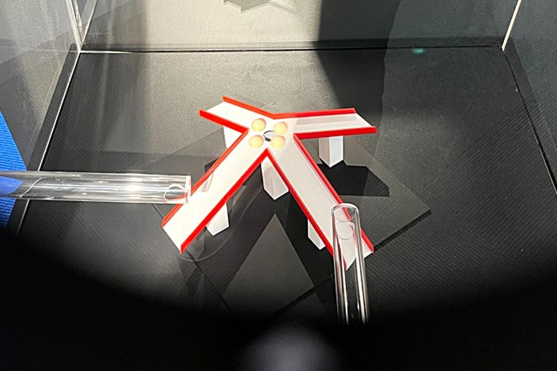 「何でも吸引4方向すべり台」国際ベスト錯視コンテスト優勝作品