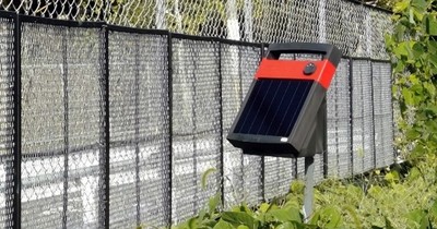 つる性雑草抑止パネル［WCP］（Weed Control Panel）