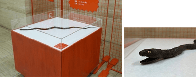 【展示台1】動態展示台