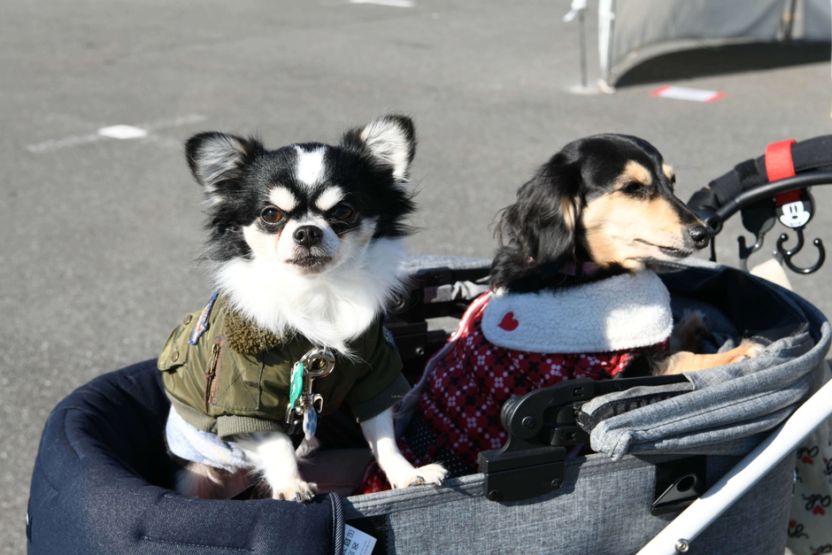 お台場CCF会場風景12