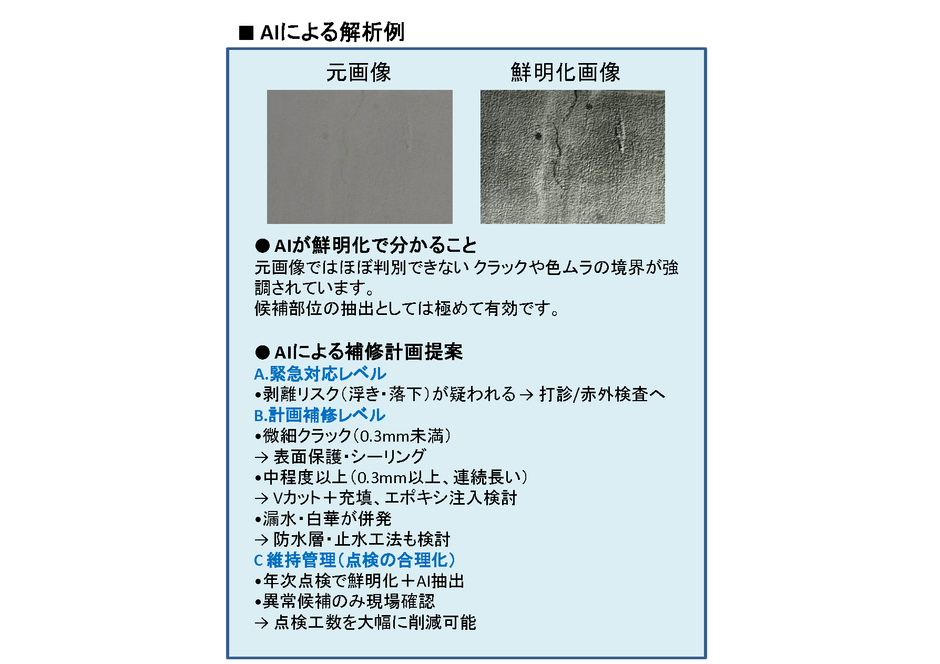 AIによる解析例