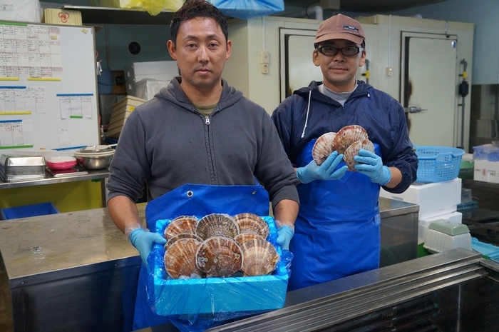 ホタテを一枚一枚手に取り確認してから出荷しています　近藤商店さん