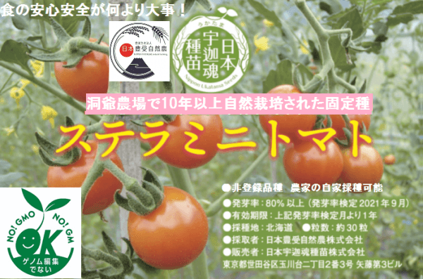 「豊受ステラミニトマト」タネ販売開始!