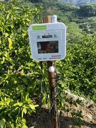 愛媛県のかんきつ栽培で収量1.3倍を達成 ～e-kakashi Naviをリニューアルし プロジェクトの成果である農業用LLMと 土壌水分AI予測機能を提供開始～