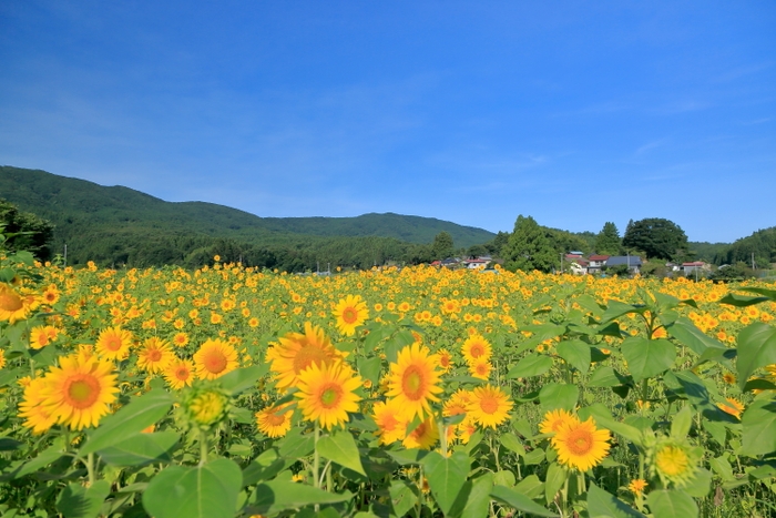 福島県田村市