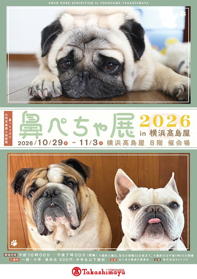 【鼻ぺちゃ展】キービジュアル(縦)