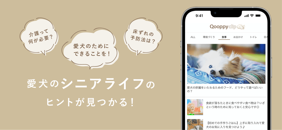 色々なアイデアが満載