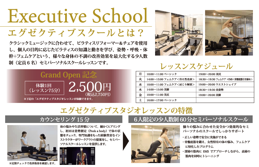 Executive School