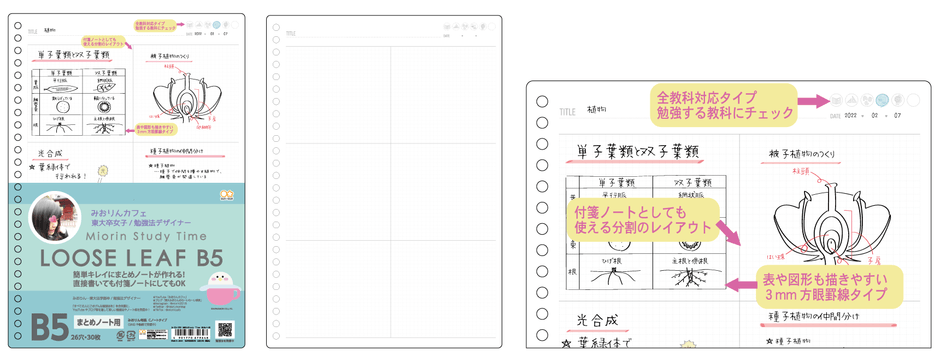 ルーズリーフ_まとめノート用
