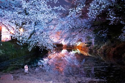 蜷川実花 2023年 (c)mika ninagawa, Courtesy of Tomio Koyama Gallery