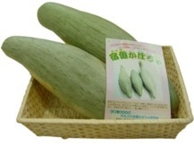岐阜県産  宿儺かぼちゃ