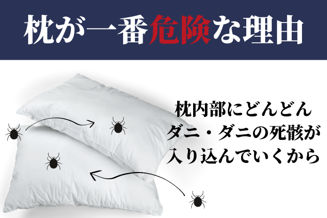 枕にはダニが沢山潜んでいます