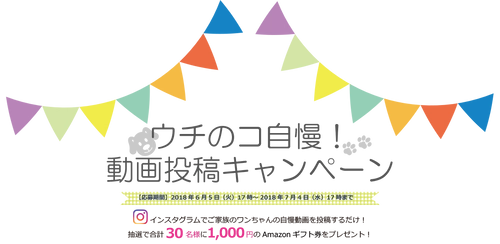 愛犬の動画投稿でAmazonギフト券がもらえる！ ブリーダー×家族のマッチングアプリ『ウィズパピー』 Instagramキャンペーンを開催