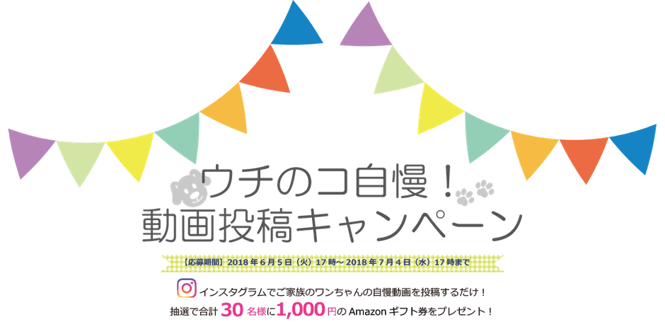 ウチのコ自慢!動画投稿キャンペーン