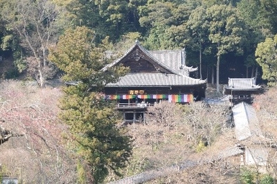 長谷寺