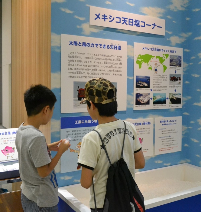 教材用にメキシコ天日塩がもらえるコーナーがあります!