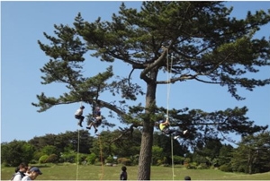 ロープクライミング 開催時の様子