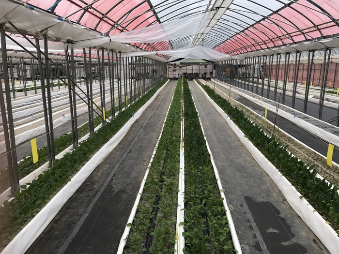 豆蔵ファーム開園式の様子ー5