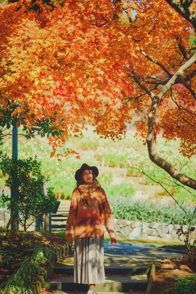 「布引の紅葉」の中で優雅に過ごす(2)