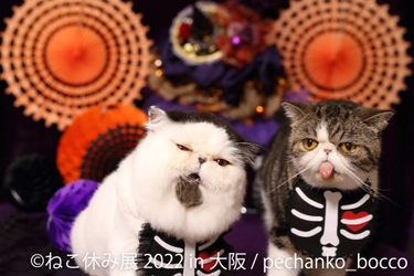 ＼1年ぶり大阪上陸／「ねこ休み展」新作展はハロウィン仕様！？で 10/21(金)～30(日)に開催！フォトスポット＆限定イベントも実施