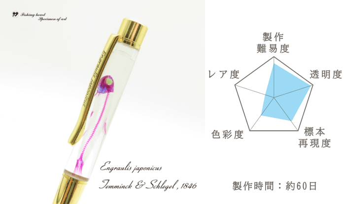 カタクチイワシ