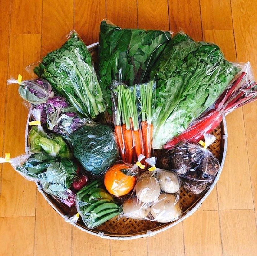 色とりどりの旬の食材が届きます