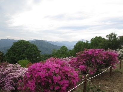 宝登山 山頂からの景色