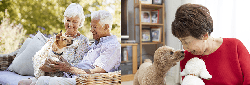 Matching Pet／マッチングペット6