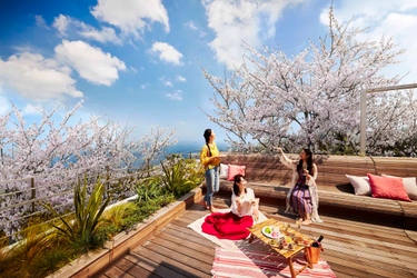 【リゾナーレ熱海】オーシャンビューのテラスでお花見する宿泊プラン「海と桜のプライベートお花見ステイ」が登場｜期間：2021年3月21日～4月5日