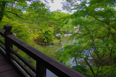 ご覧の緑がすべて紅一色に染まる秋の「eXcafe祇園八坂」