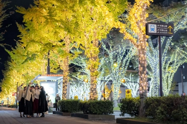 和歌山市の夜が輝きだす！ 130万球の光と500機のドローンが街と夜空を彩る けやきライトパレード＆WAKAYAMA LIGHTS 2025！