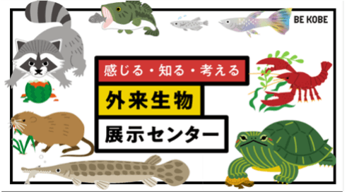 外来生物ってなに?外来生物問題について学ぼう!