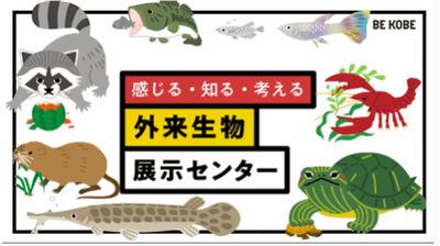 外来生物ってなに?外来生物問題について学ぼう!
