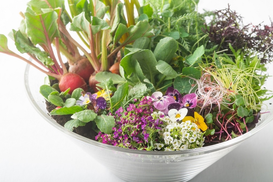 それぞれに個性を持つマイクロリーフ