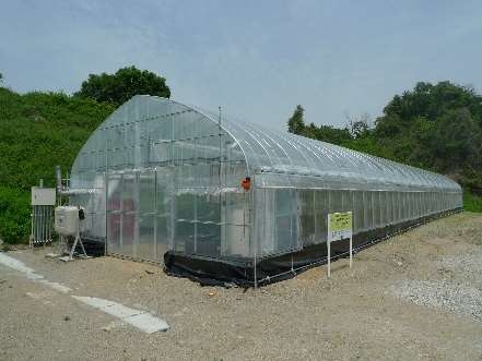 「農の入口」モデル事業 ICT 設置温室