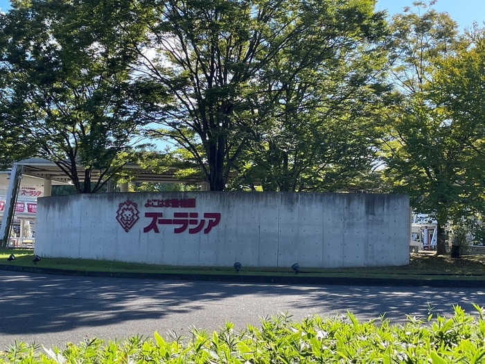 旭区の有名スポット(1)よこはま動物園ズーラシア