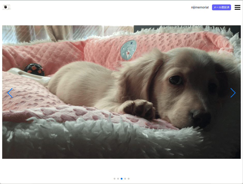 複数の写真を閲覧できるスライド式ギャラリー