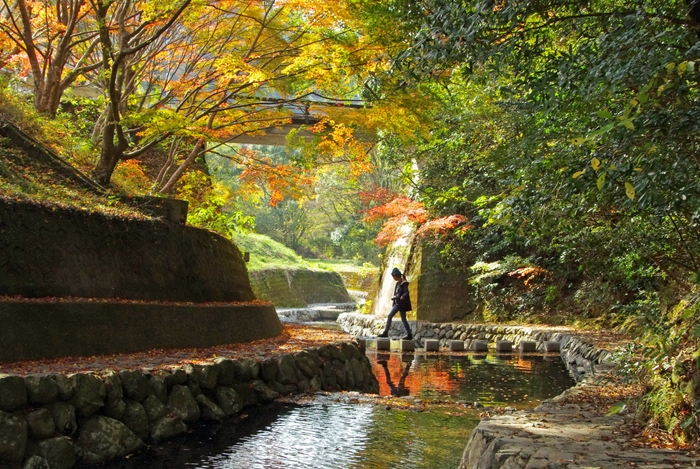 竜門峡の紅葉