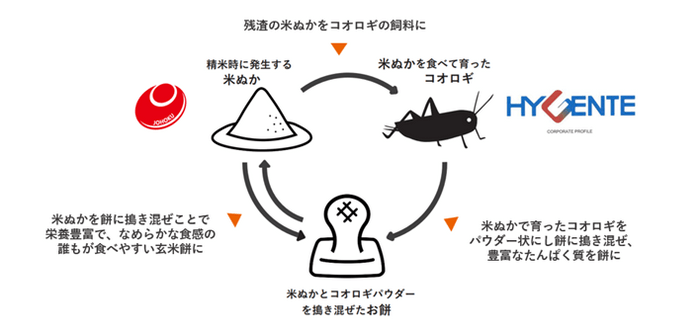 サイクル図